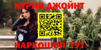 jwh Будённовск