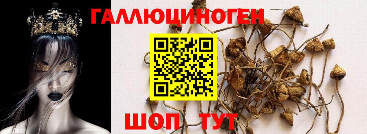 Галлюциногенные грибы мухоморы Валуйки